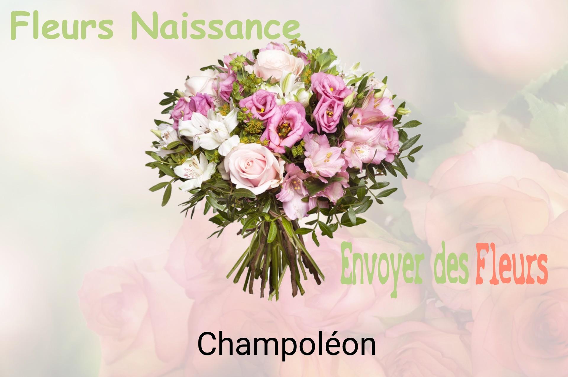 Bouquet de fleurs de naissance livré à Champoléon