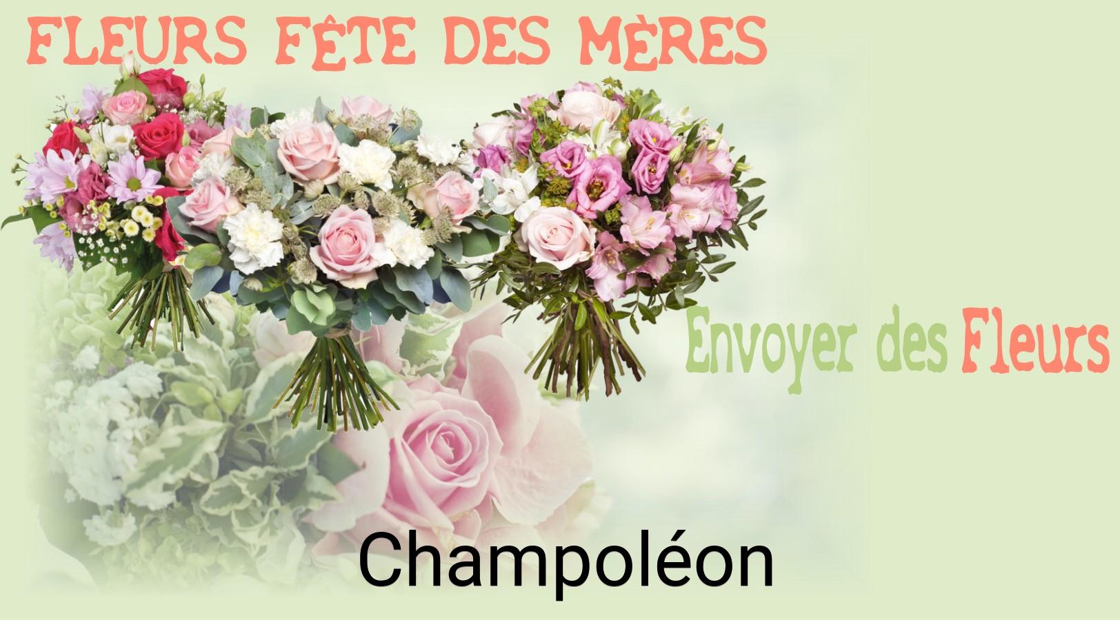 Bouquet de Fête des Mères livré à Champoléon
